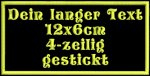 Aufnäher rec1 12x6cm