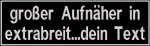 Aufnäher rec1 40x12cm