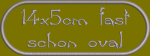 Patch rec3 14x5cm